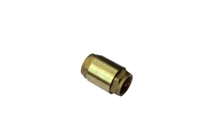 AIP SPRING CHECK VALVE 50MM HD  
